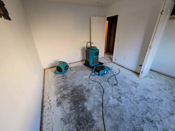 Best Water damage restoration near me  in Murphys Estates, SC