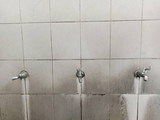 Best Ceiling water damage repair  in Murphys Estates, SC